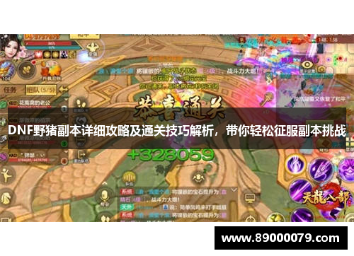 DNF野猪副本详细攻略及通关技巧解析，带你轻松征服副本挑战